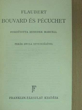 Gustave Flaubert - Bouvard és Pécuchet [antikvár]