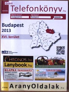 Üzleti telefonkönyv - Budapest XVI. kerület 2013 [antikvár]