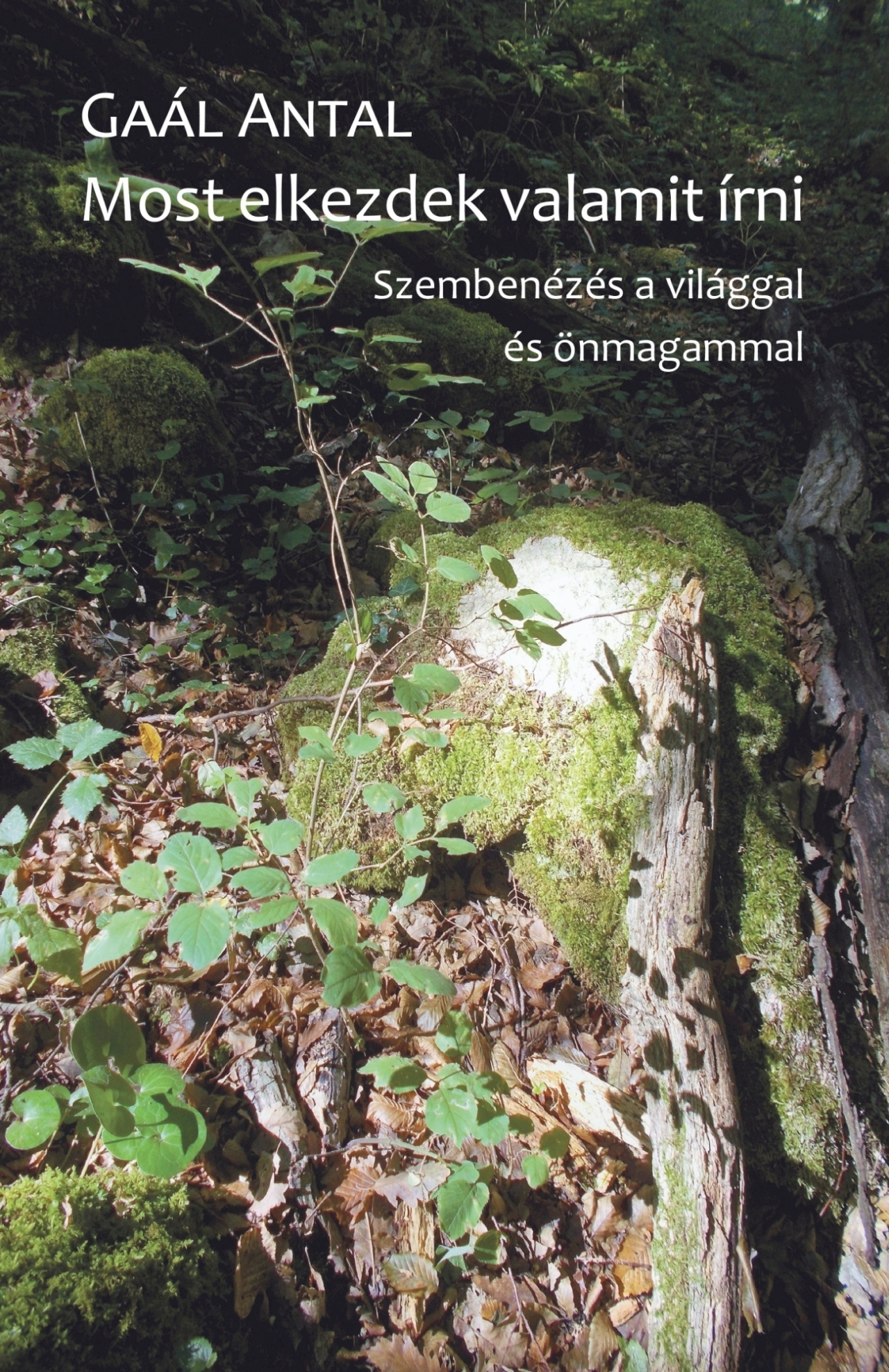 Gaál Antal - Most elkezdek valamit írni