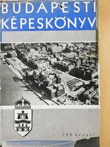 Budapesti képeskönyv [antikvár]
