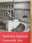 Barota Mihály - Szabolcs-Szatmár huszonöt éve [antikvár]