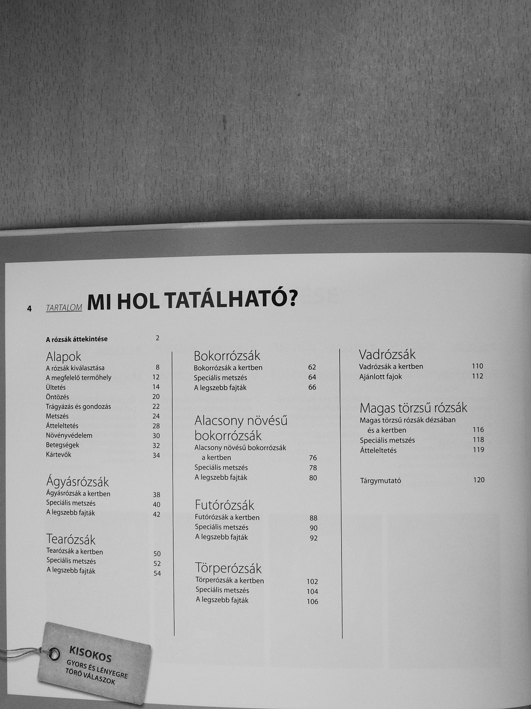 Thomas Proll - Rózsa mindentudó [antikvár]