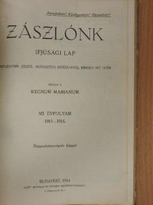 Orbán Dezső - Zászlónk 1913-1914. (nem teljes évfolyam) [antikvár]