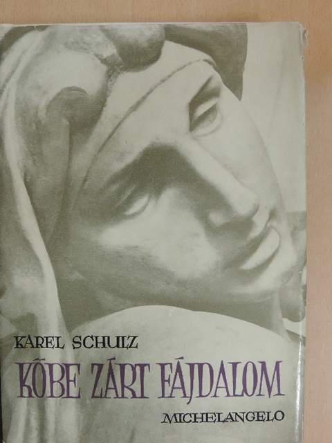 Karel Schulz - Kőbe zárt fájdalom [antikvár]