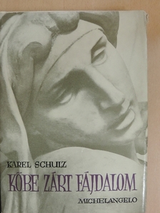 Karel Schulz - Kőbe zárt fájdalom [antikvár]