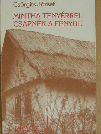 Csörgits József - Mintha tenyérrel csapnék a fénybe [antikvár]