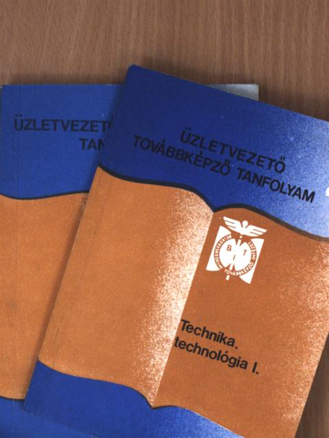 Bekes Sándor - Technika technológia I-II. [antikvár]