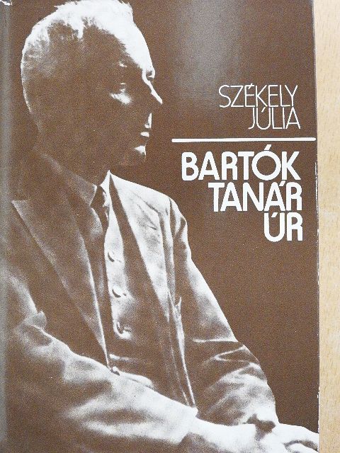 Székely Júlia - Bartók tanár úr [antikvár]