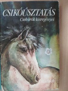 Jan Kostrhun - Csikóúsztatás [antikvár]