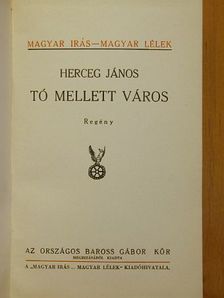 Herceg János - Tó mellett város [antikvár]