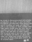 Daniel Schmid - Die Schafe vom Blumenwiesenland [antikvár]