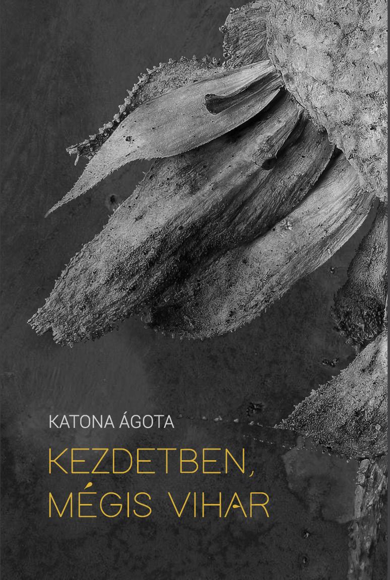 Katona Ágota - Kezdetben, mégis vihar