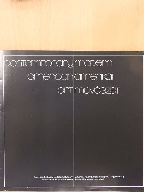 Modern amerikai művészet [antikvár]