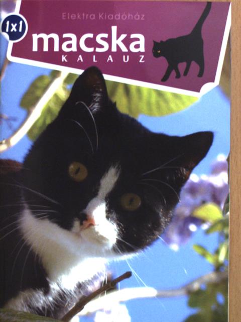 Macska kalauz [antikvár]