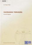 Dr. Pupos Tibor - Gazdasági tervezés [antikvár]