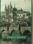 Karel Plicka - Praga Regia [antikvár]