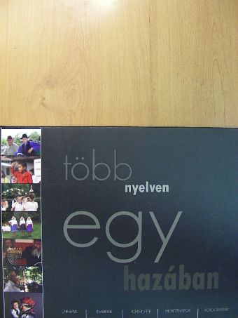 Bereczky Loránd - Több nyelven egy hazában [antikvár]
