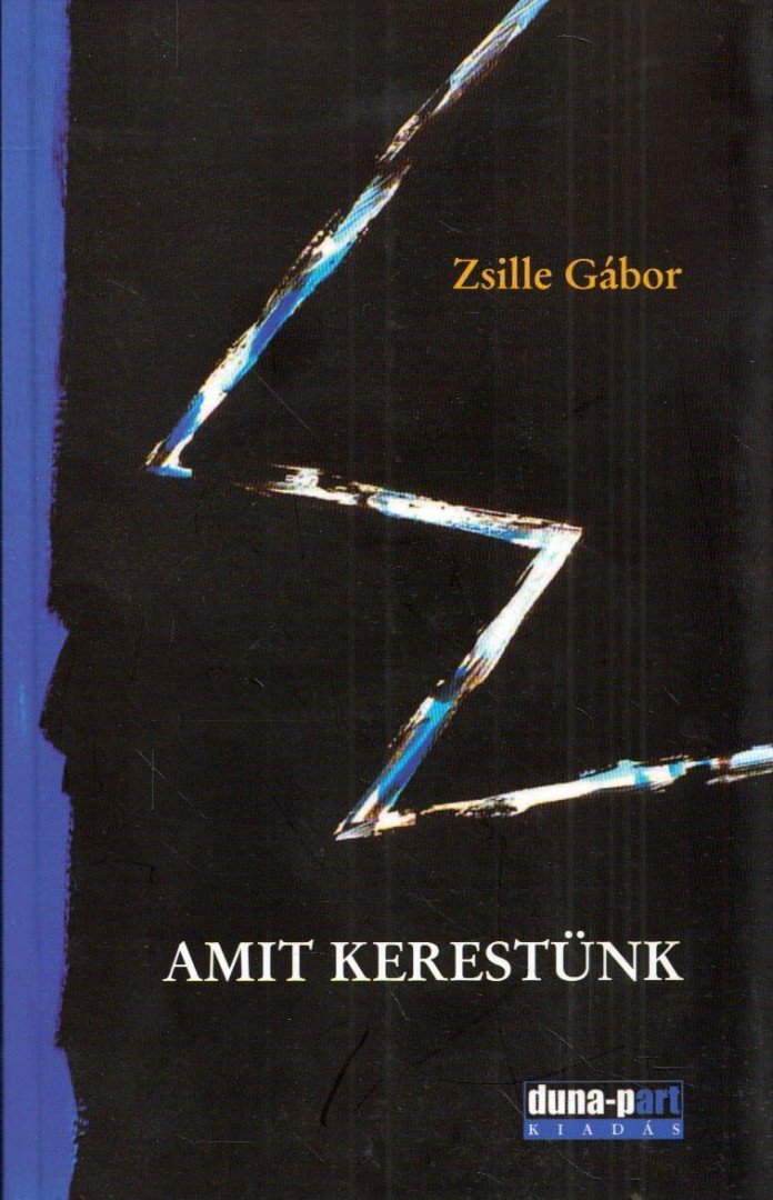 Zsille Gábor - Amit kerestünk [antikvár]