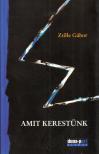 Zsille Gábor - Amit kerestünk [antikvár]