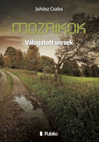 Csaba Juhász - MOZAIKOK [eKönyv: epub, mobi]
