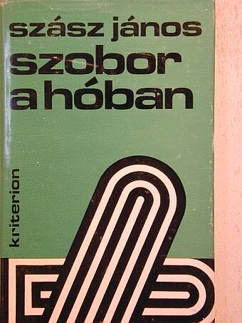 Szász János - Szobor a hóban [antikvár]