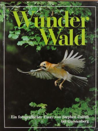 Jill Bailey - Wunder Wald [antikvár]