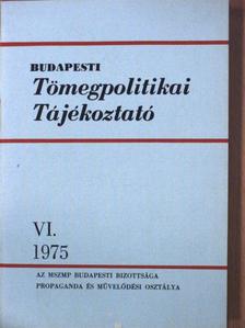 Budapesti Tömegpolitikai Tájékoztató VI. [antikvár]