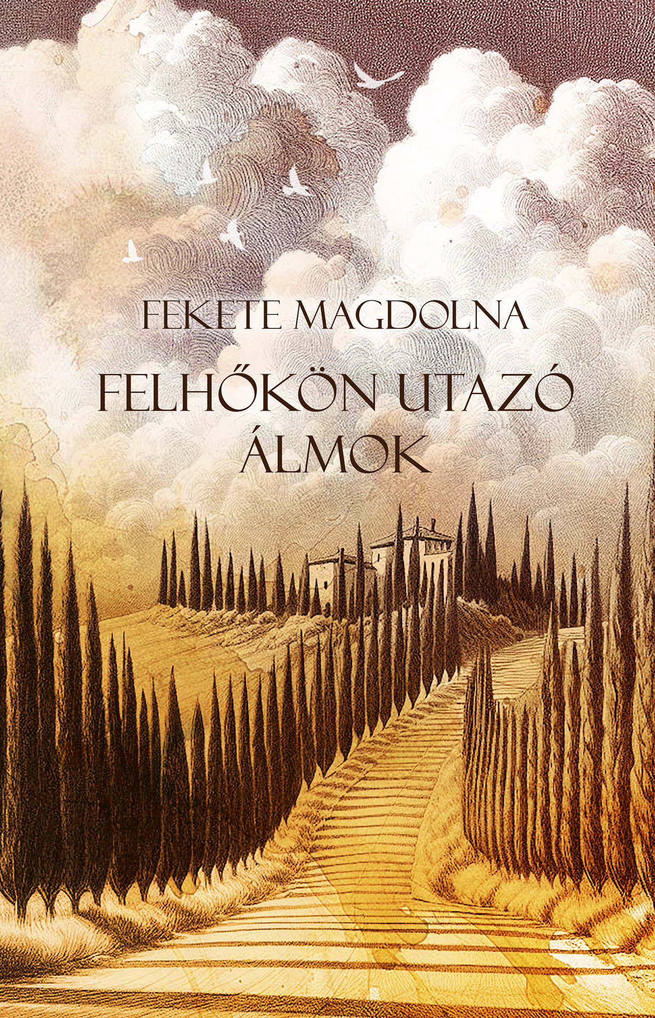 Fekete Magdolna - Felhőkön utazó álmok