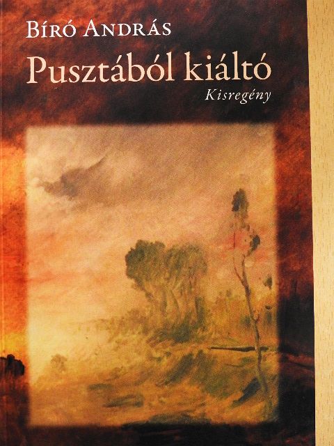 Bíró András - Pusztából kiáltó [antikvár]