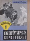Eiler Emil - Közelfényképezés, reprodukció/Keskenyfilmezés/Különleges objektívok/Sztereo/I. Nemzetközi Művészi Fényképkiállítás [antikvár]