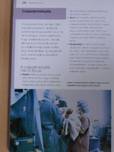 Babát várunk [antikvár]