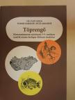Dr. Papp János - Töprengő [antikvár]