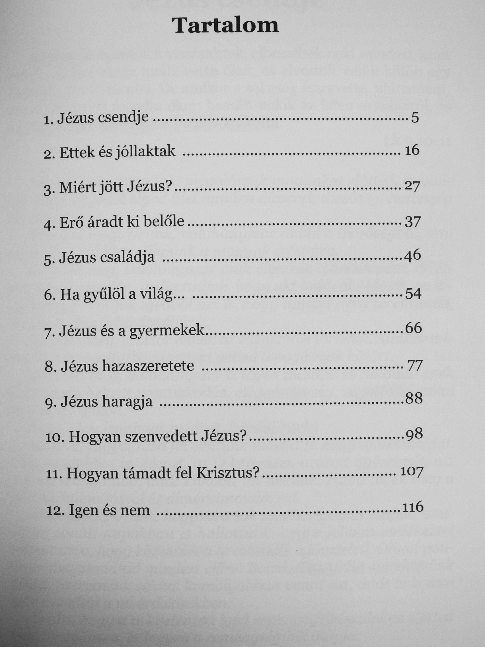 Cseri Kálmán - Kicsoda Jézus Krisztus? [antikvár]