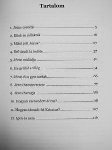 Cseri Kálmán - Kicsoda Jézus Krisztus? [antikvár]