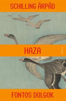 SCHILLING ÁRPÁD - Haza