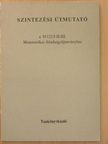 Dékány Veronika - Szintezési útmutató a 10121/I-II-III. Matematikai feladatgyűjteményhez [antikvár]