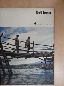 Abbé L. Wang - Bethléem Avril 1965 [antikvár]