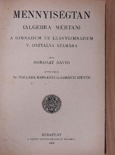 Borosay Dávid - Mennyiségtan [antikvár]