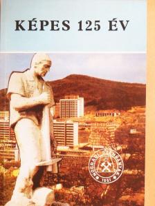 Szvircsek Ferenc - Képes 125 év [antikvár]