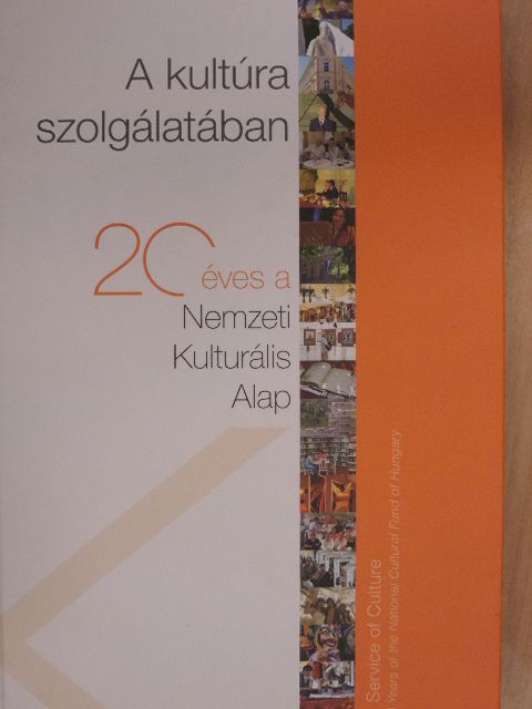 Bajnai Zsolt - A kultúra szolgálatában [antikvár]