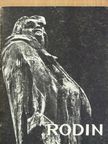 Ionel Jianu - Rodin [antikvár]