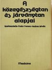 Bíró György - A közegészségtan és járványtan alapjai [antikvár]
