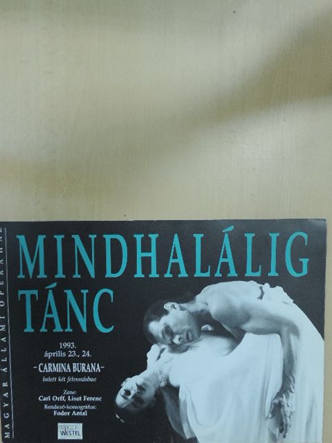 Mátai Györgyi - Mindhalálig tánc [antikvár]