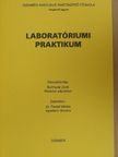 Balthazár Zsolt - Laboratóriumi praktikum [antikvár]