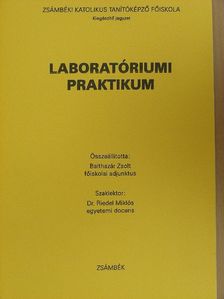 Balthazár Zsolt - Laboratóriumi praktikum [antikvár]