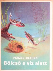 Pénzes Bethen - Bölcső a víz alatt [antikvár]