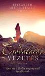 ELIZABETH MITTELSTAEDT - Csodálatos vezetés - Amit ma a Biblia asszonyaitól tanulhatunk