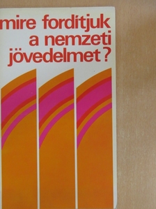 Dobos Ferenc István - Mire fordítjuk a nemzeti jövedelmet? [antikvár]