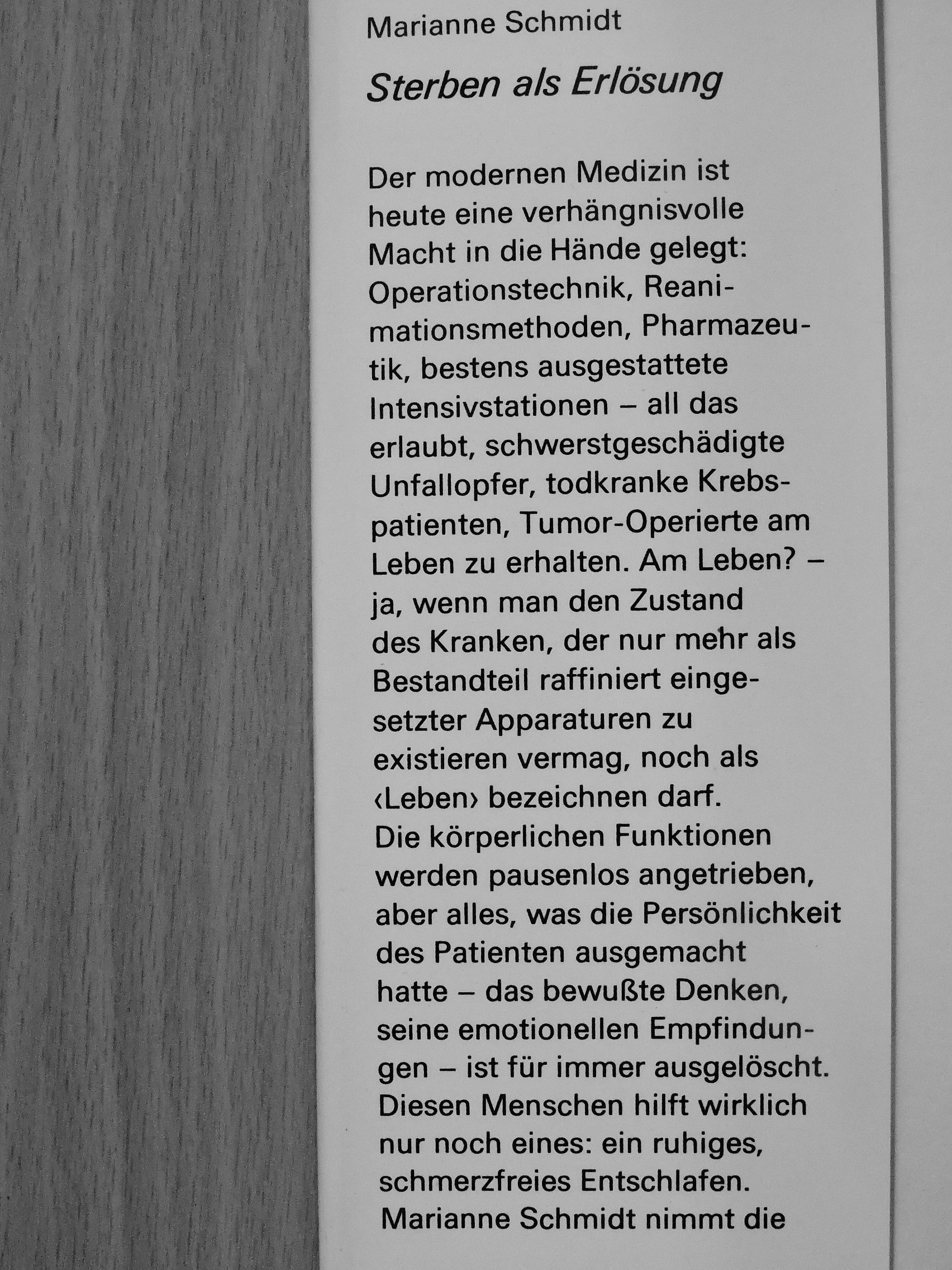 Marianne Schmidt - Sterben als Erlösung [antikvár]