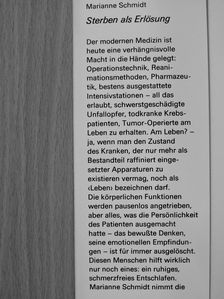 Marianne Schmidt - Sterben als Erlösung [antikvár]